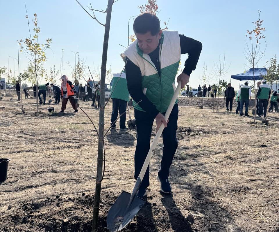 Во всех регионах страны реализован проект «Зелёный сад»