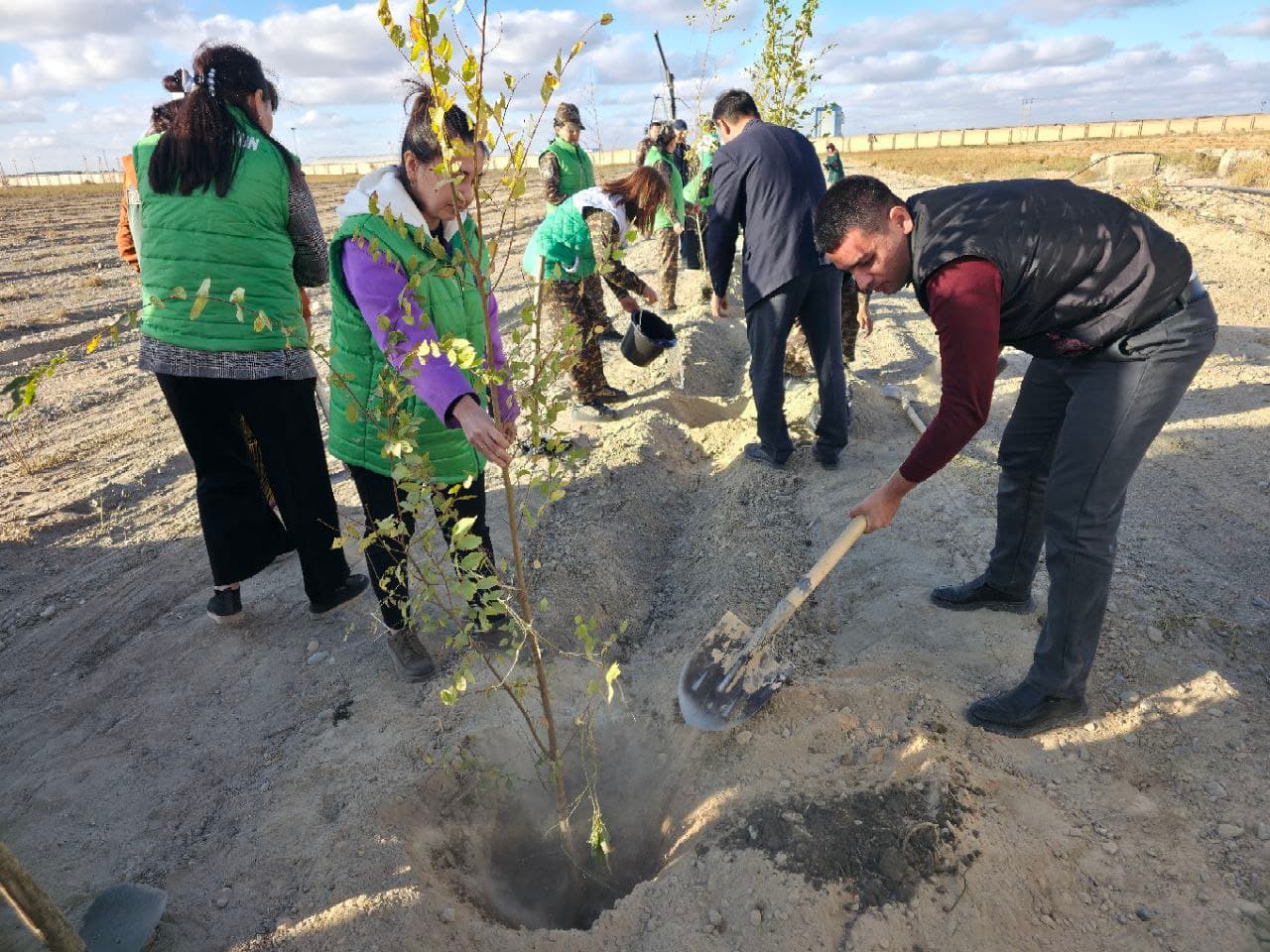 Во всех регионах страны реализован проект «Зелёный сад»
