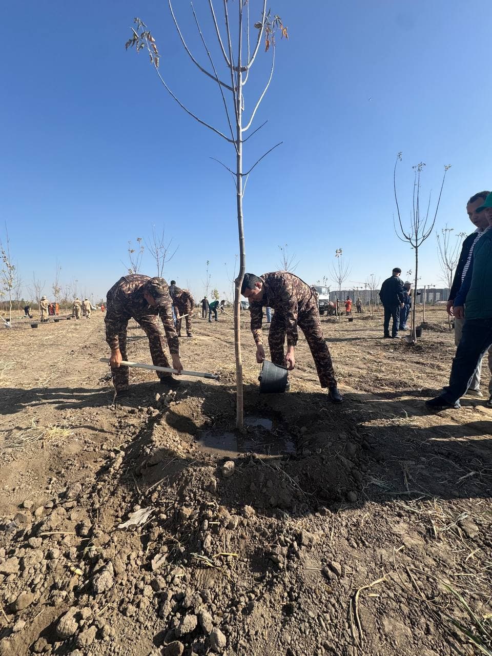 Во всех регионах страны реализован проект «Зелёный сад»