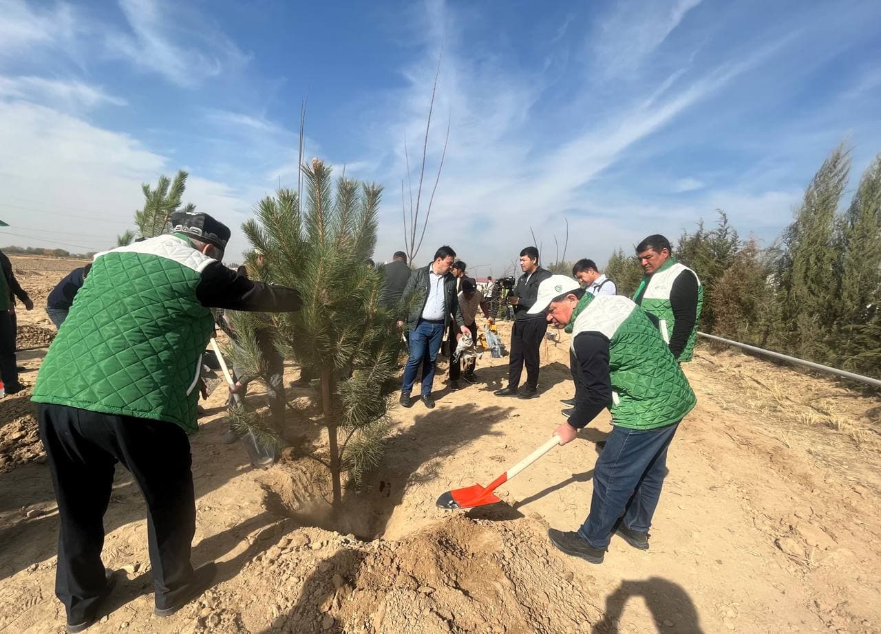 Во всех регионах страны реализован проект «Зелёный сад»