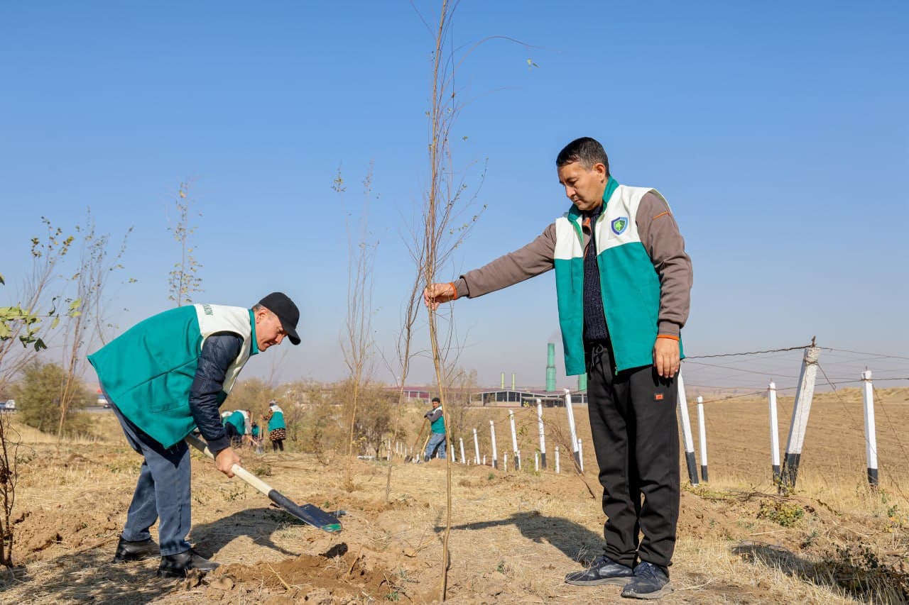 “Yashil makon” umummilliy loyihasining kuzgi mavsumi boshlandi