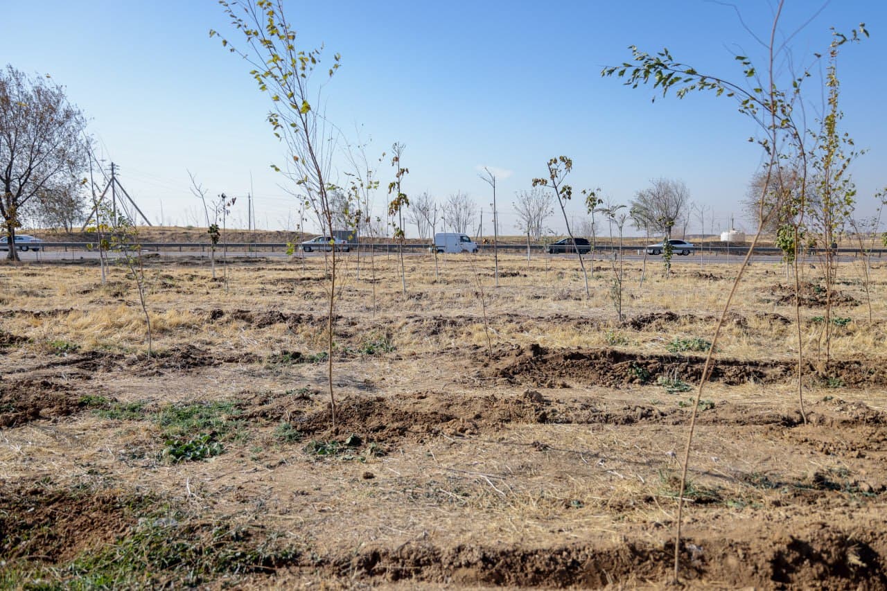 “Yashil makon” umummilliy loyihasining kuzgi mavsumi boshlandi