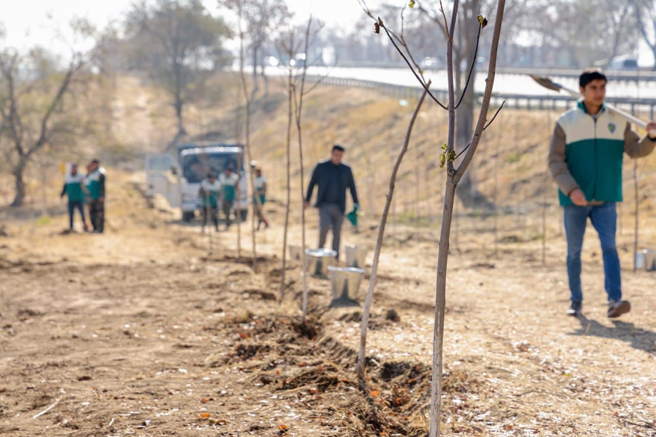 “Yashil makon” umummilliy loyihasining kuzgi mavsumi boshlandi