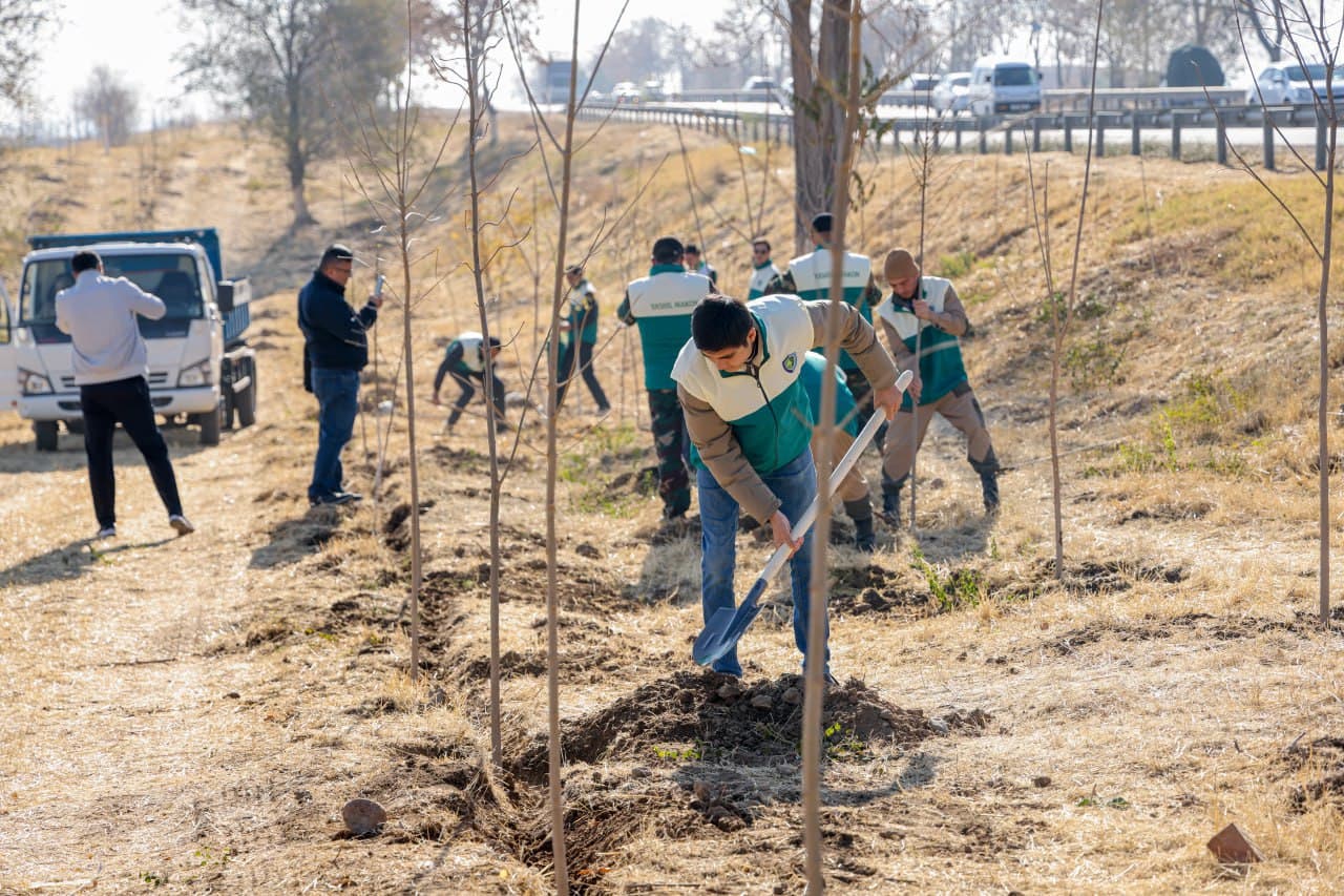 “Yashil makon” umummilliy loyihasining kuzgi mavsumi boshlandi