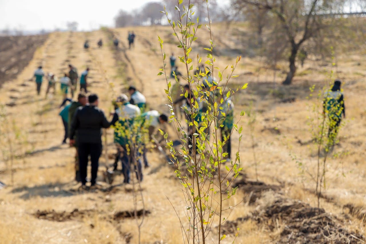 “Yashil makon” umummilliy loyihasining kuzgi mavsumi boshlandi