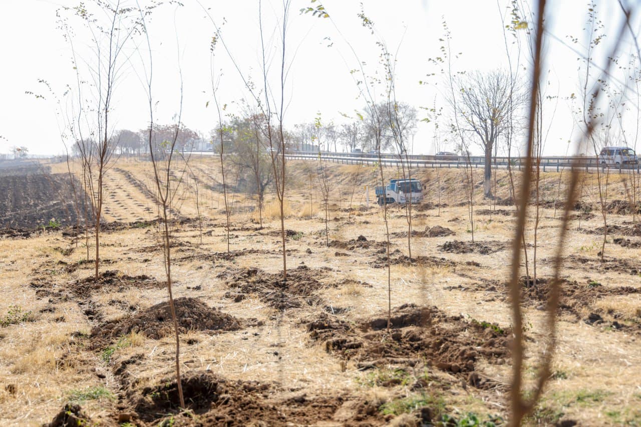 “Yashil makon” umummilliy loyihasining kuzgi mavsumi boshlandi