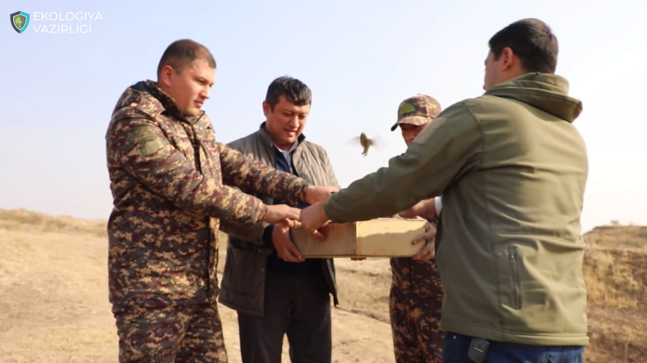 Браконьер, незаконно охотившийся на щеглов, предстанет перед судом