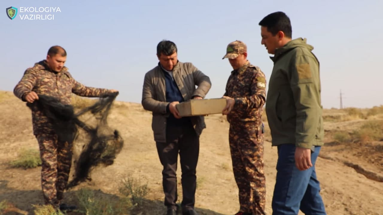 Браконьер, незаконно охотившийся на щеглов, предстанет перед судом