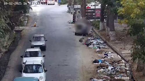 Nearly 10,000 cases of illegal waste dumping identified in Uzbekistan since the beginning of the year