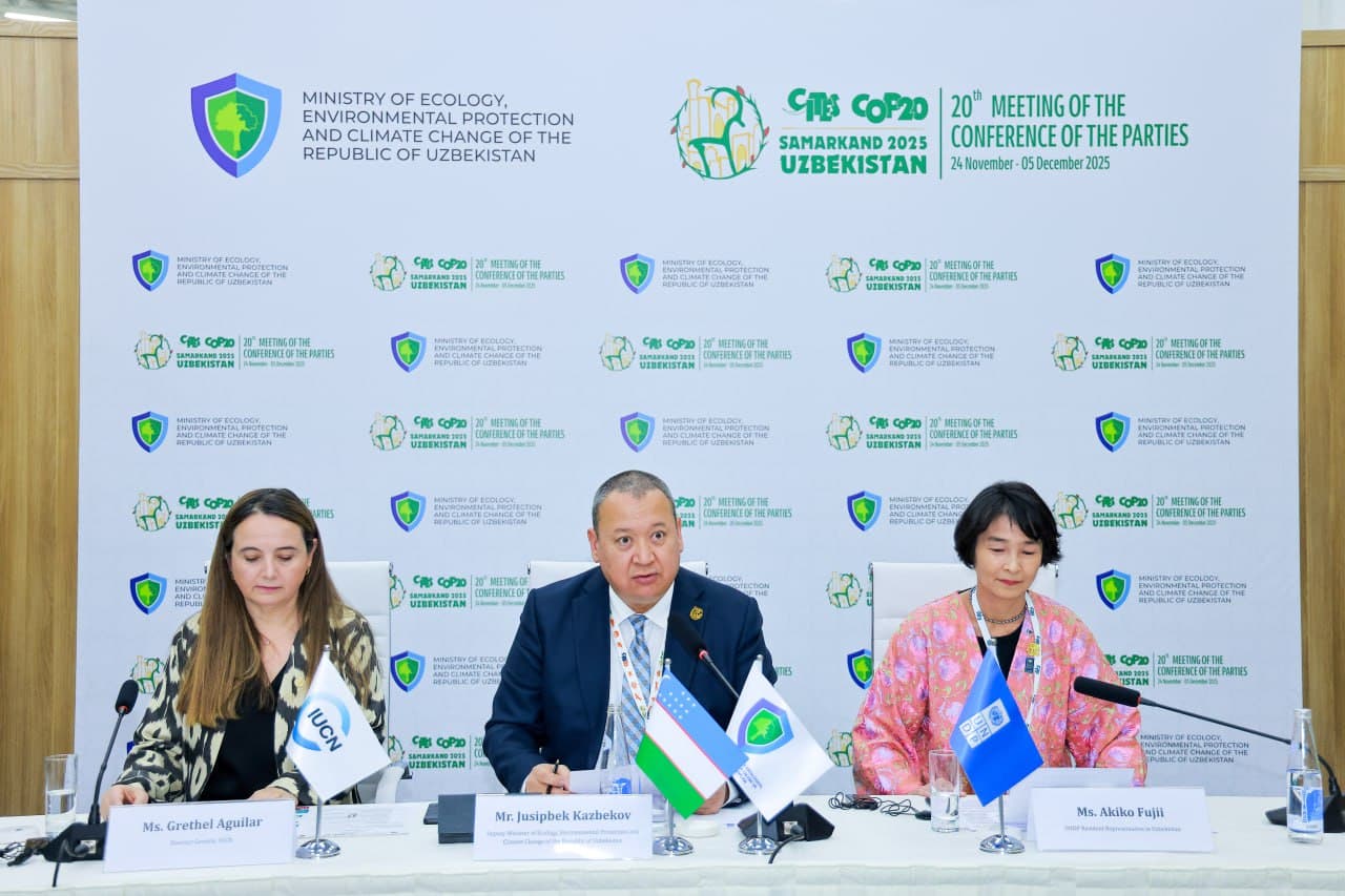 Запущен проект по комплексному управлению и восстановлению ценных ландшафтов