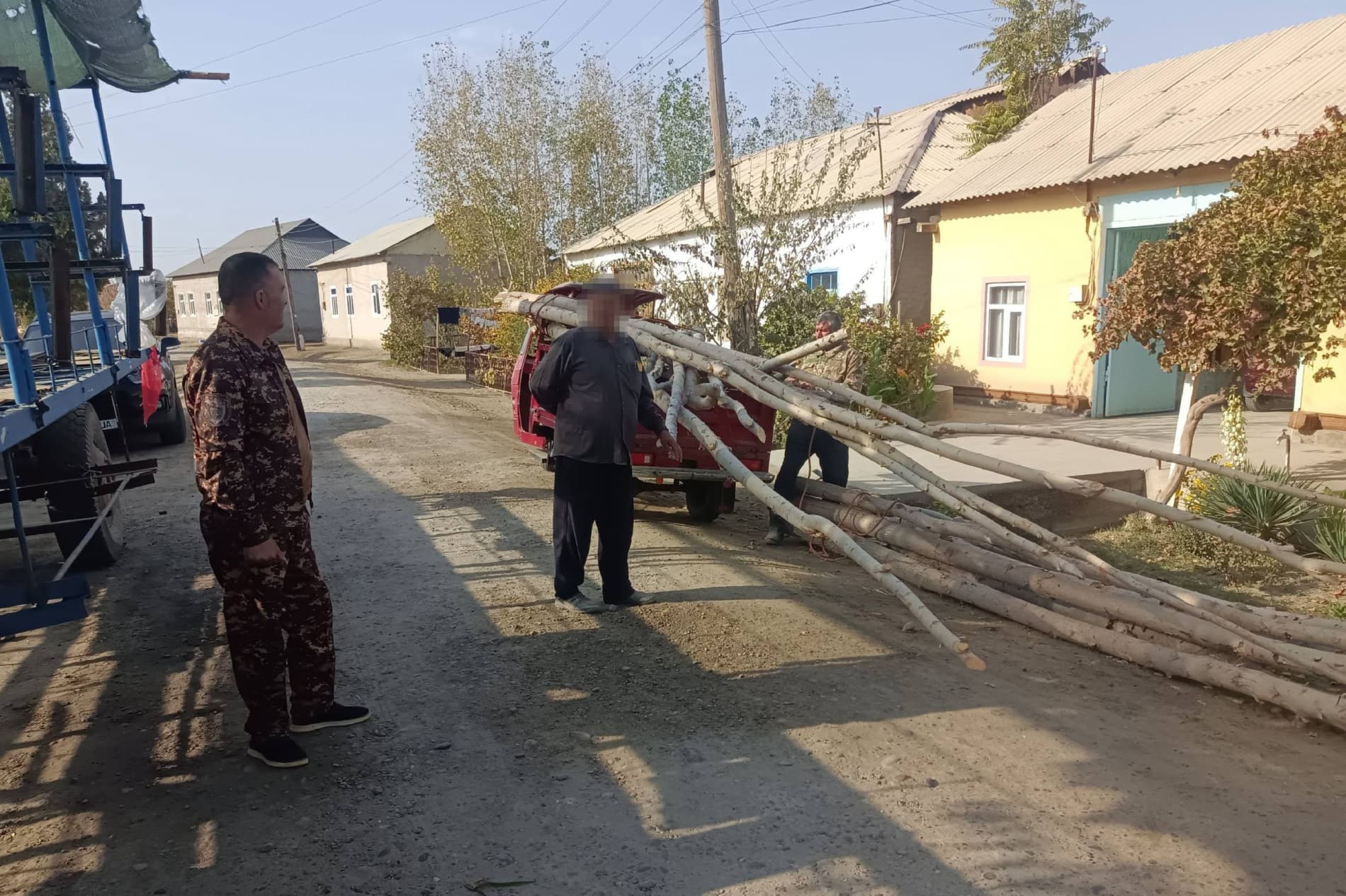 Приняты меры в отношении руководителя фермерского хозяйства, вырубившего 17 тополей