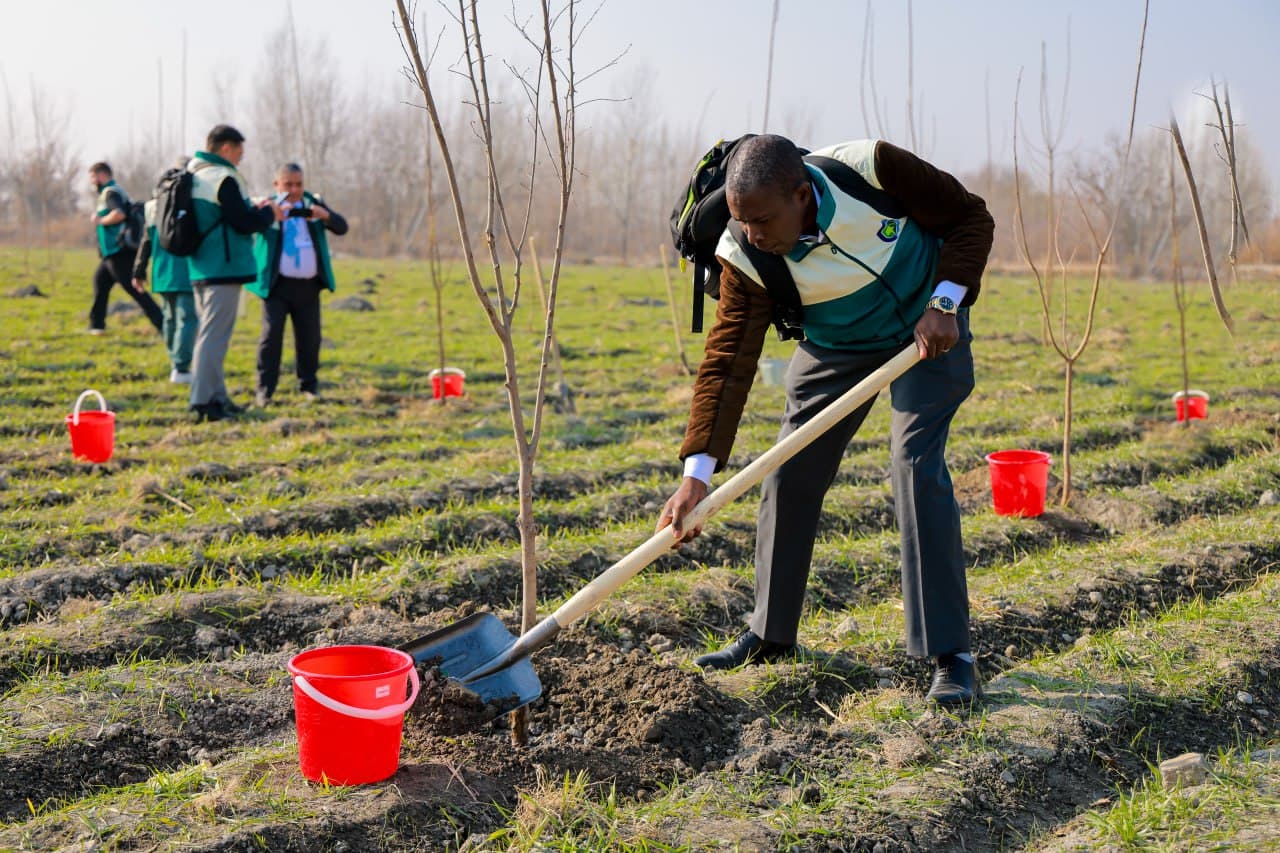 One Thousand Trees Planted in Samarkand for the Anniversary Session of CITES CoP20