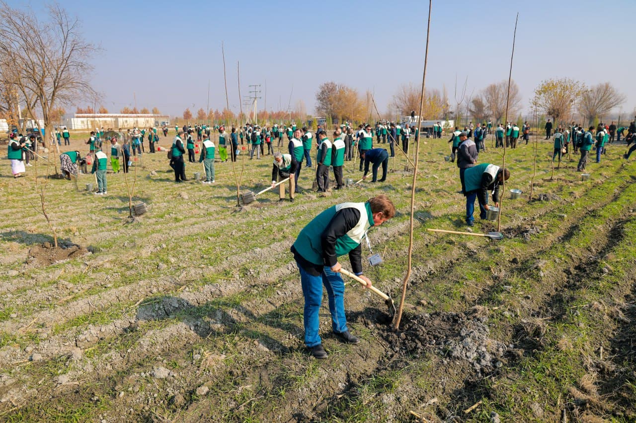 One Thousand Trees Planted in Samarkand for the Anniversary Session of CITES CoP20