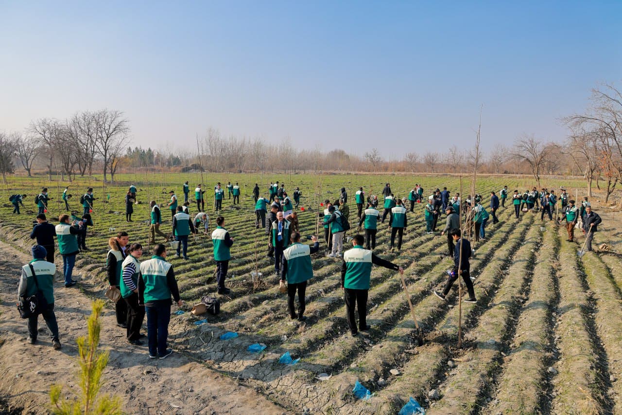 One Thousand Trees Planted in Samarkand for the Anniversary Session of CITES CoP20