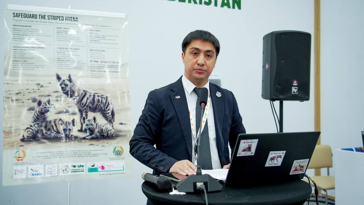 На CITES CoP20 дан старт глобальным мерам по сохранению полосатой гиены