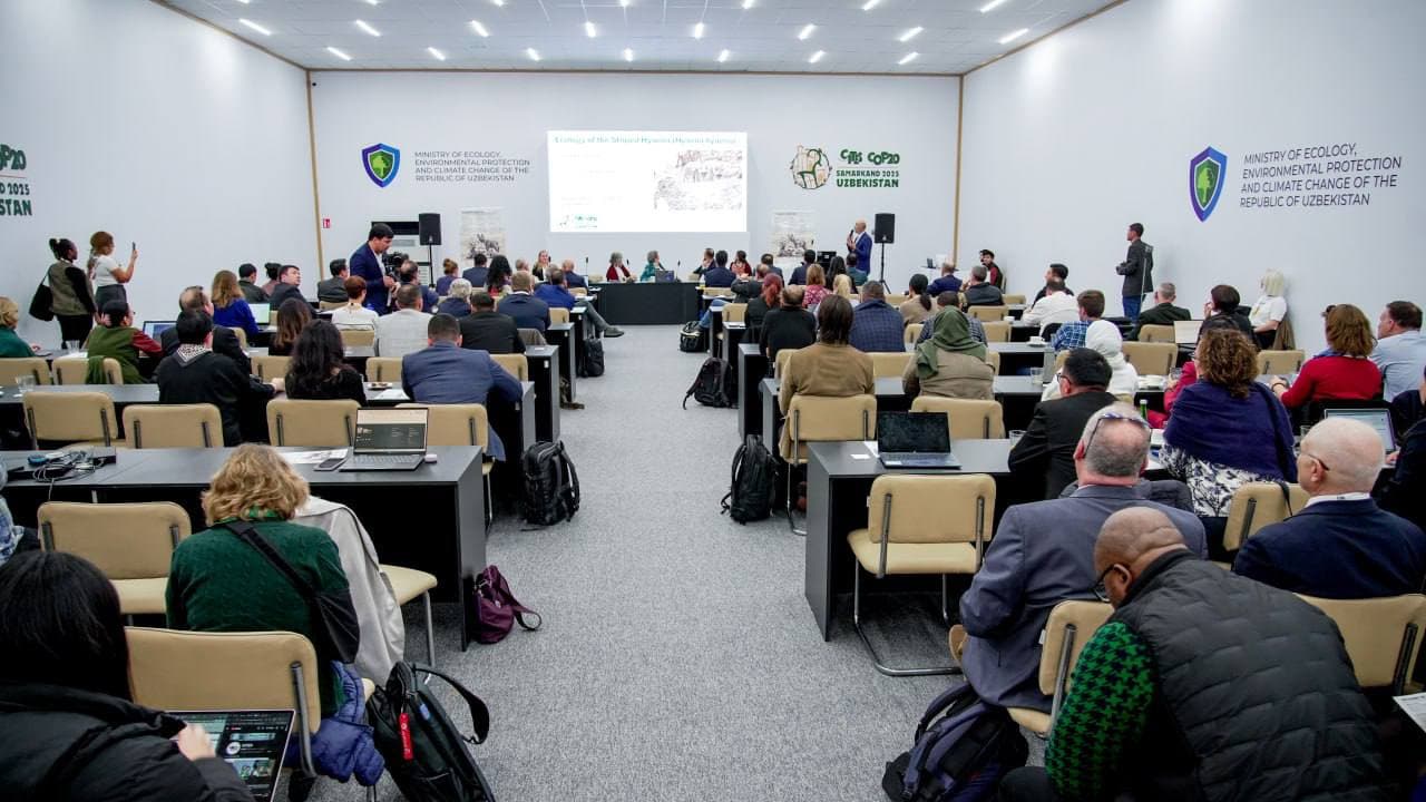 На CITES CoP20 дан старт глобальным мерам по сохранению полосатой гиены