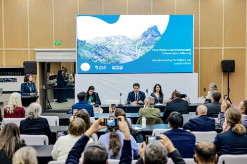 Initiatives for the Conservation of Central Asia’s Small Cats Presented