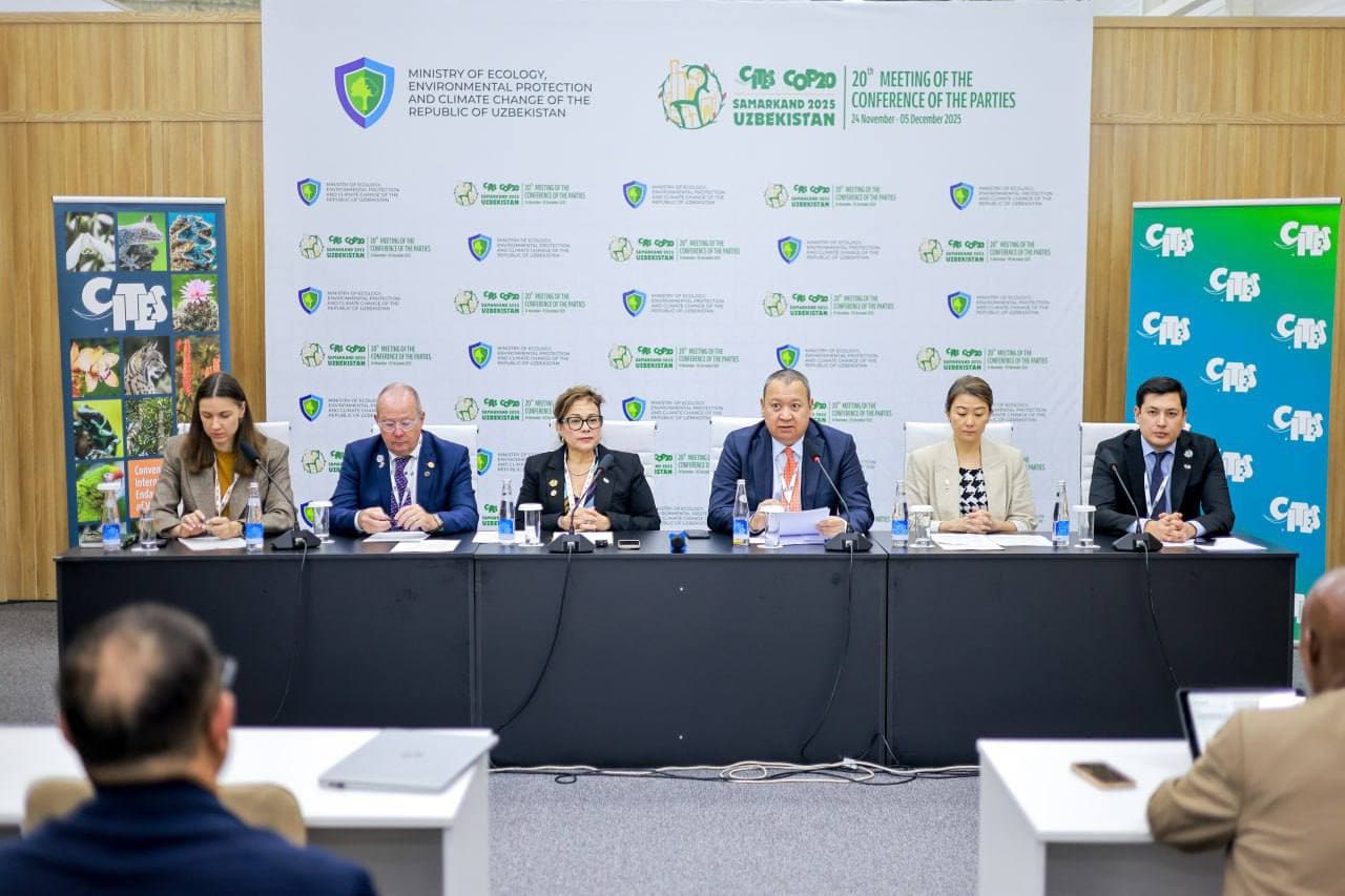 Samarqandda CITES CoP20 haftalik hisoboti taqdim etildi