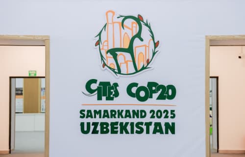 Samarqandda CITES CoP20 yakunlandi: rekord natijalarga ega tarixiy konferensiya