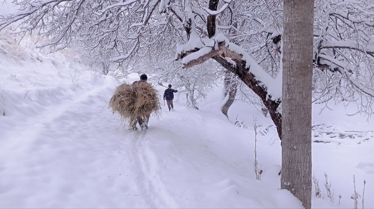 Tabiatga g'amxo‘rlik: muhofaza etiladigan tabiiy hududlarda yovvoyi fauna qanday qo‘llab-quvvatlanmoqda