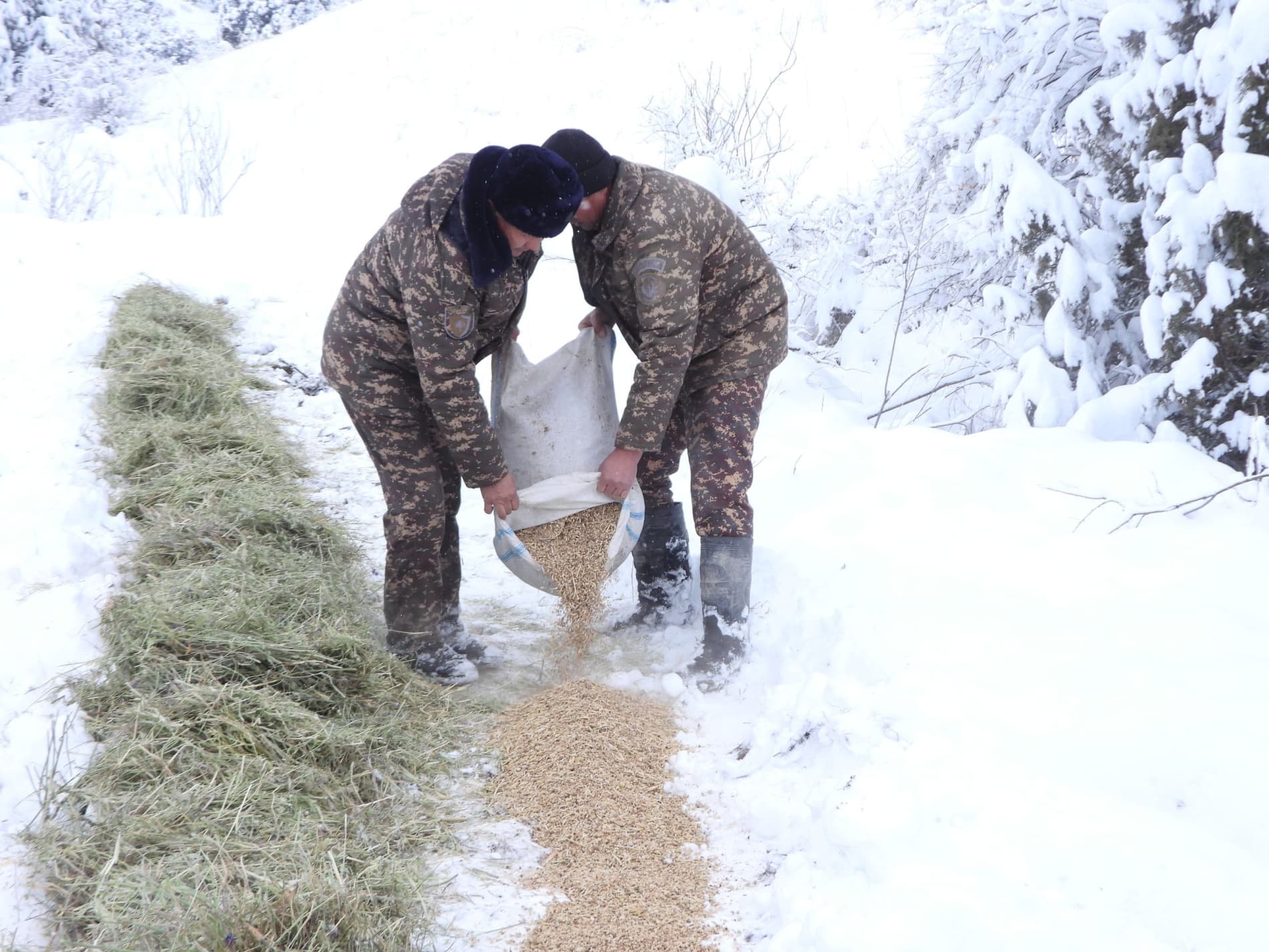 Tabiatga g'amxo‘rlik: muhofaza etiladigan tabiiy hududlarda yovvoyi fauna qanday qo‘llab-quvvatlanmoqda