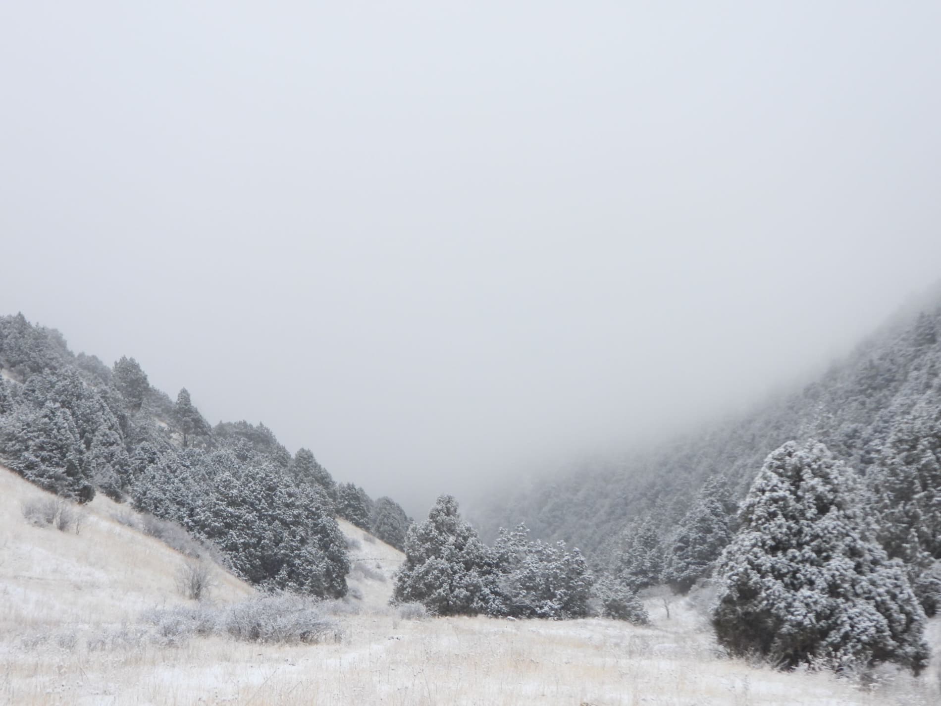 Tabiatga g'amxo‘rlik: muhofaza etiladigan tabiiy hududlarda yovvoyi fauna qanday qo‘llab-quvvatlanmoqda