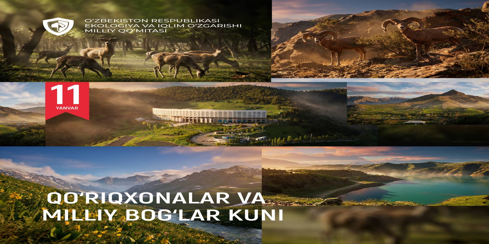 11 января – День заповедников и национальных парков