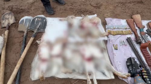 Борьба с браконьерством: в регионах выявлен ряд правонарушений