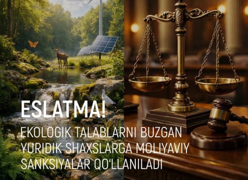 Внимание! В отношении юридических лиц, нарушивших экологические требования, будут применяться финансовые санкции