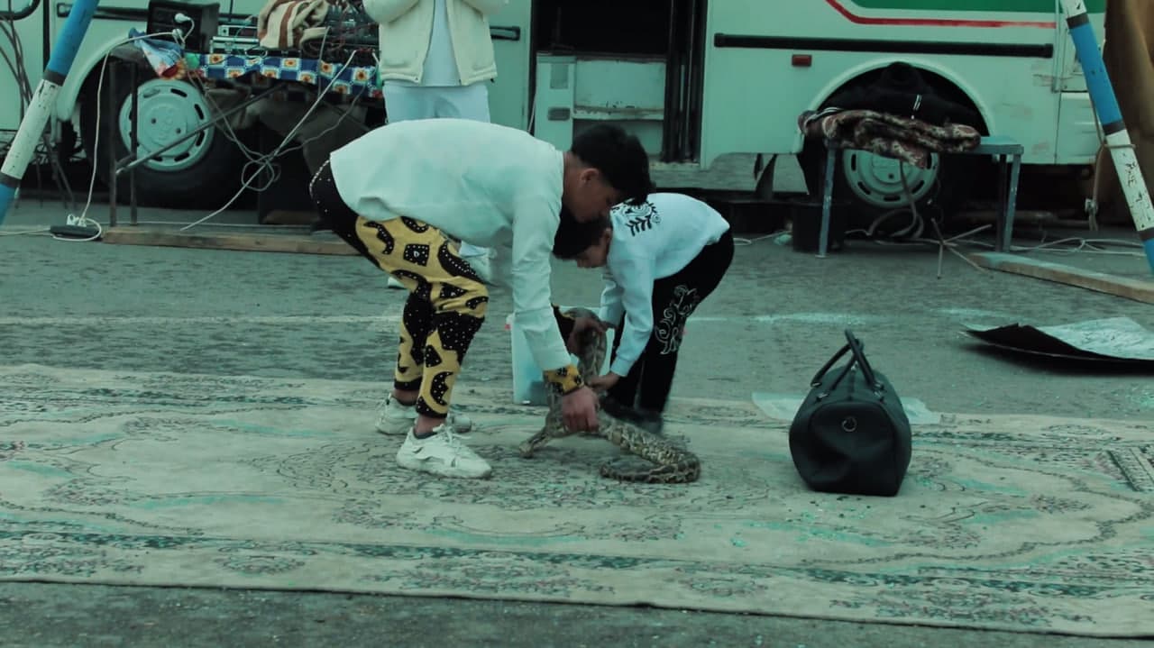 Buxoroda noqonuniy ov hamda yo‘lbarssimon bo‘g‘ma ilon bilan bog’liq huquqbuzarliklar aniqlandi