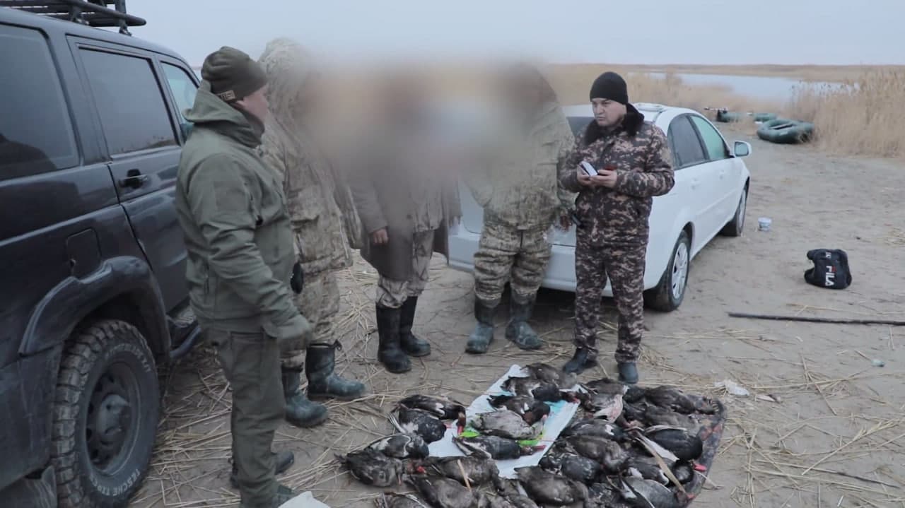 Buxoroda noqonuniy ov hamda yo‘lbarssimon bo‘g‘ma ilon bilan bog’liq huquqbuzarliklar aniqlandi