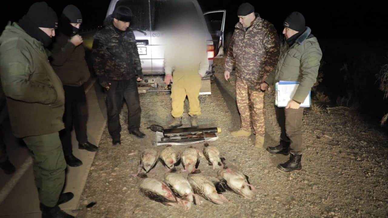 Buxoroda noqonuniy ov hamda yo‘lbarssimon bo‘g‘ma ilon bilan bog’liq huquqbuzarliklar aniqlandi