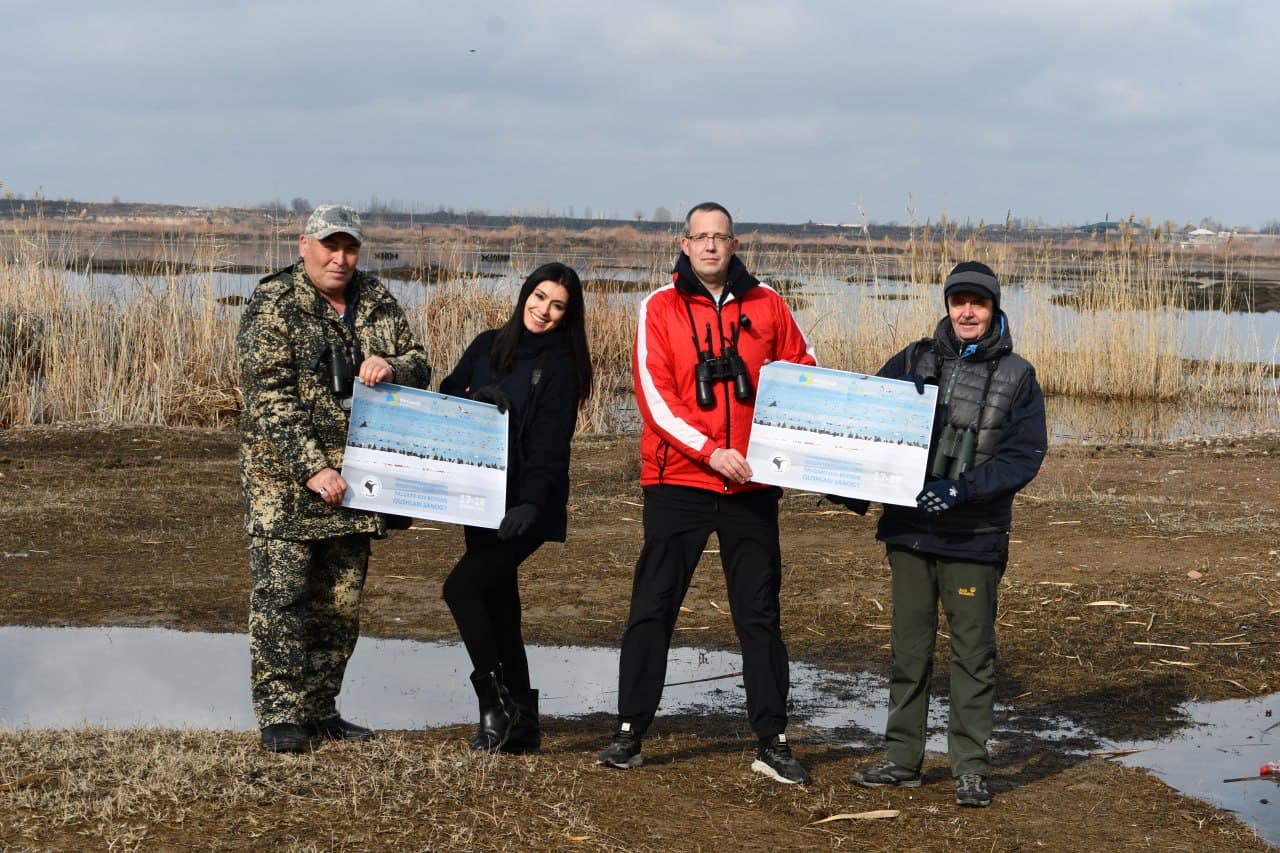 Toshkent dengizida qishki hisob: qariyb 9,5 ming suv qushi aniqlandi