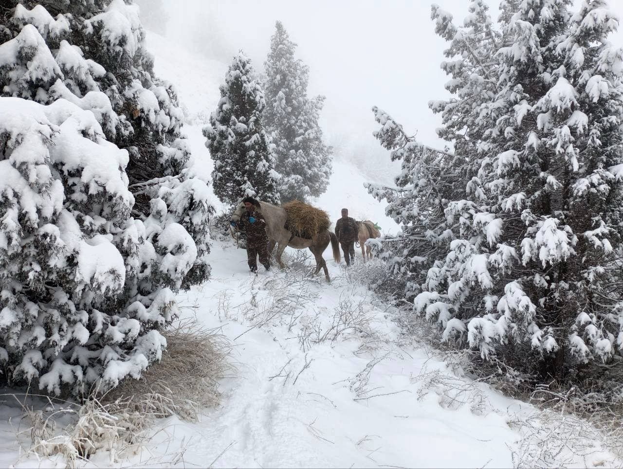 В холодную погоду биотехнические мероприятия усиливаются