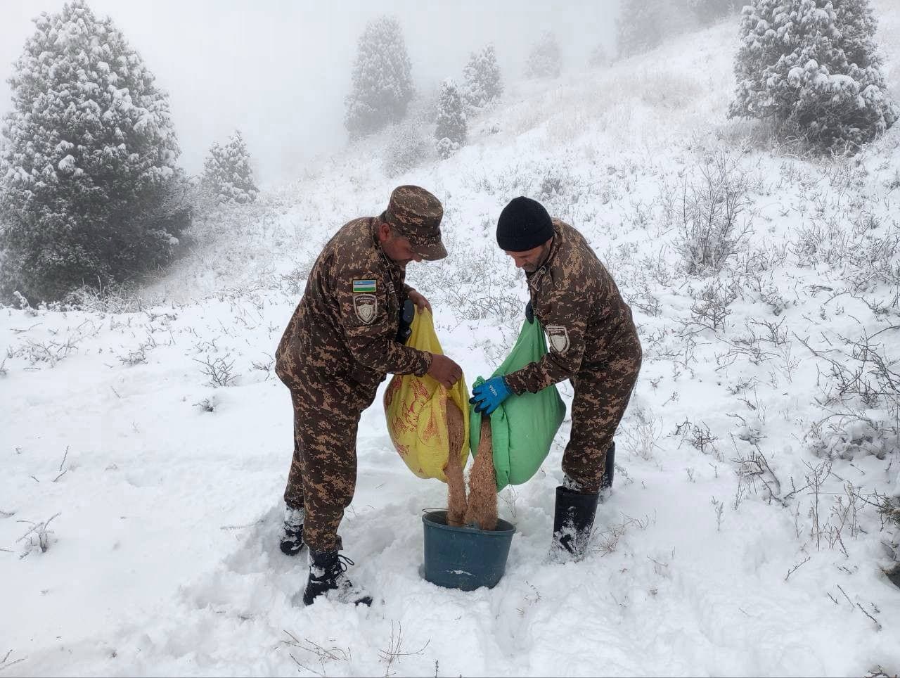 В холодную погоду биотехнические мероприятия усиливаются