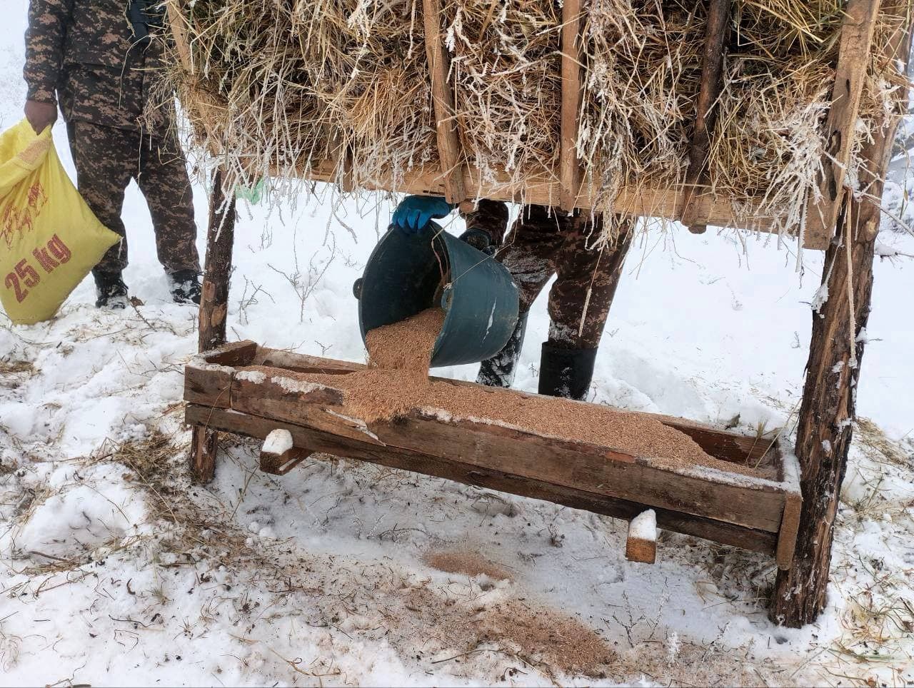 В холодную погоду биотехнические мероприятия усиливаются