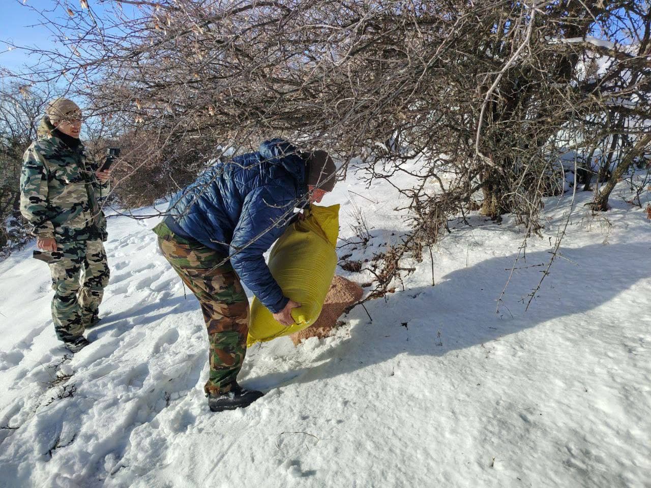 Muhofaza hududlarida yovvoyi hayvonot olami uchun ozuqa mahsulotlari qo‘yib chiqilmoqda