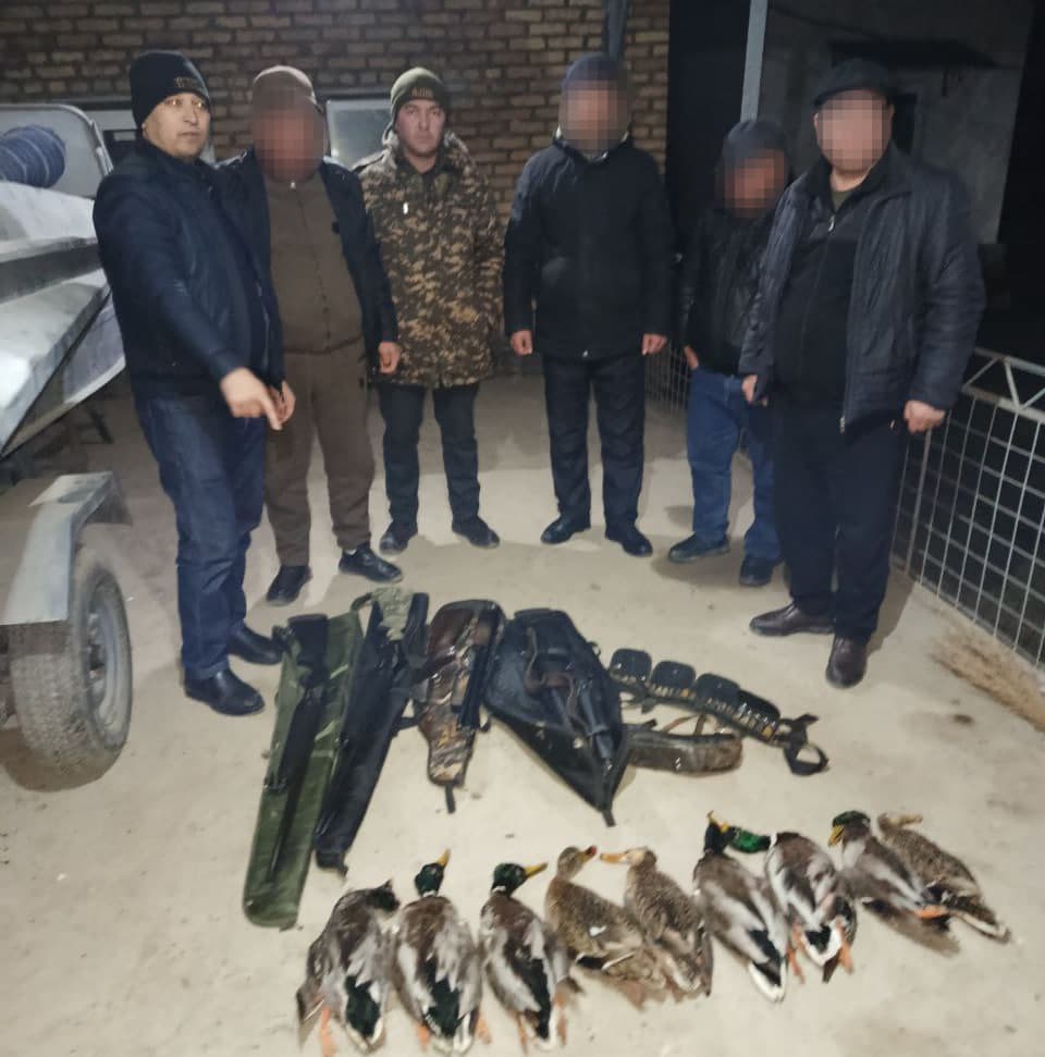 В Сырдарьинской области выявлен факт незаконной охоты на диких уток