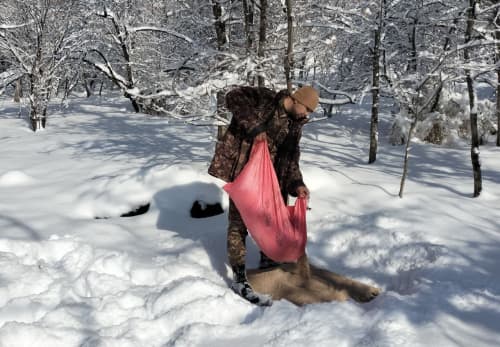 Muhofaza hududlarida yovvoyi hayvonot olami uchun ozuqa mahsulotlari qo‘yib chiqilmoqda