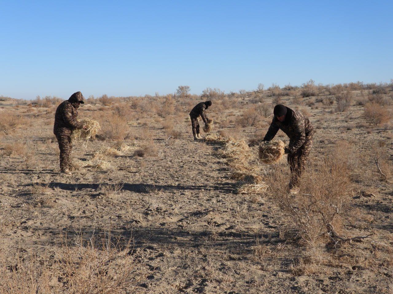 Muhofaza hududlarida yovvoyi hayvonot olami uchun ozuqa mahsulotlari qo‘yib chiqilmoqda