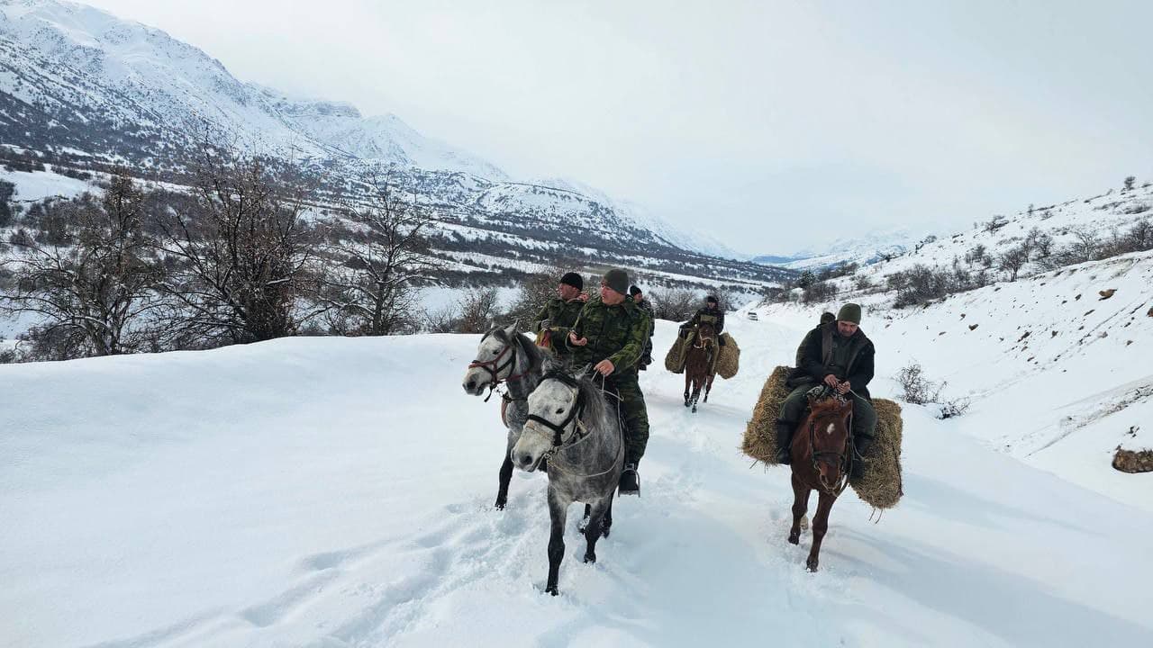 Muhofaza hududlarida yovvoyi hayvonot olami uchun ozuqa mahsulotlari qo‘yib chiqilmoqda