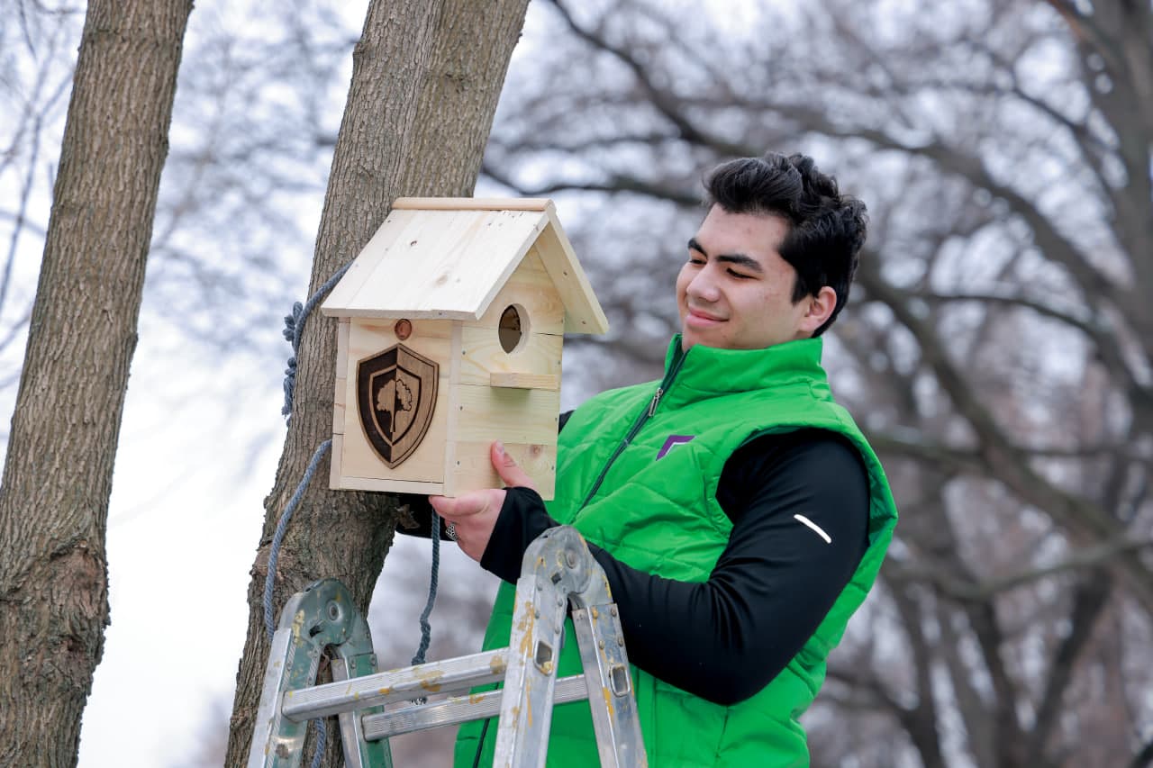 Примите активное участие в акции по защите птиц!