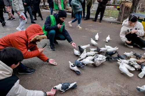 Qushlarni muhofaza qilishga qaratilgan aksiyada faol ishtirok eting!