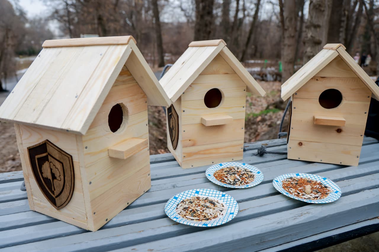 Примите активное участие в акции по защите птиц!