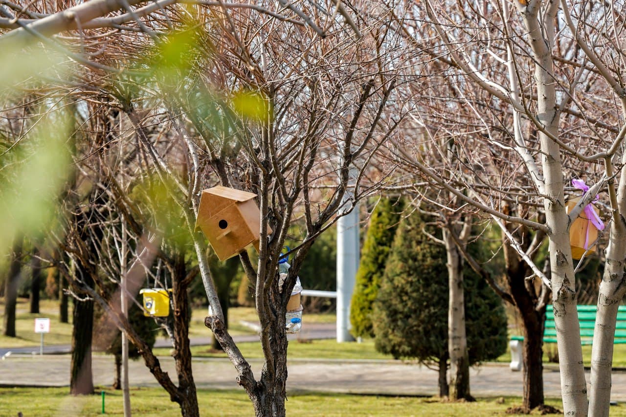 Для птиц установлены скворечники и роздан корм