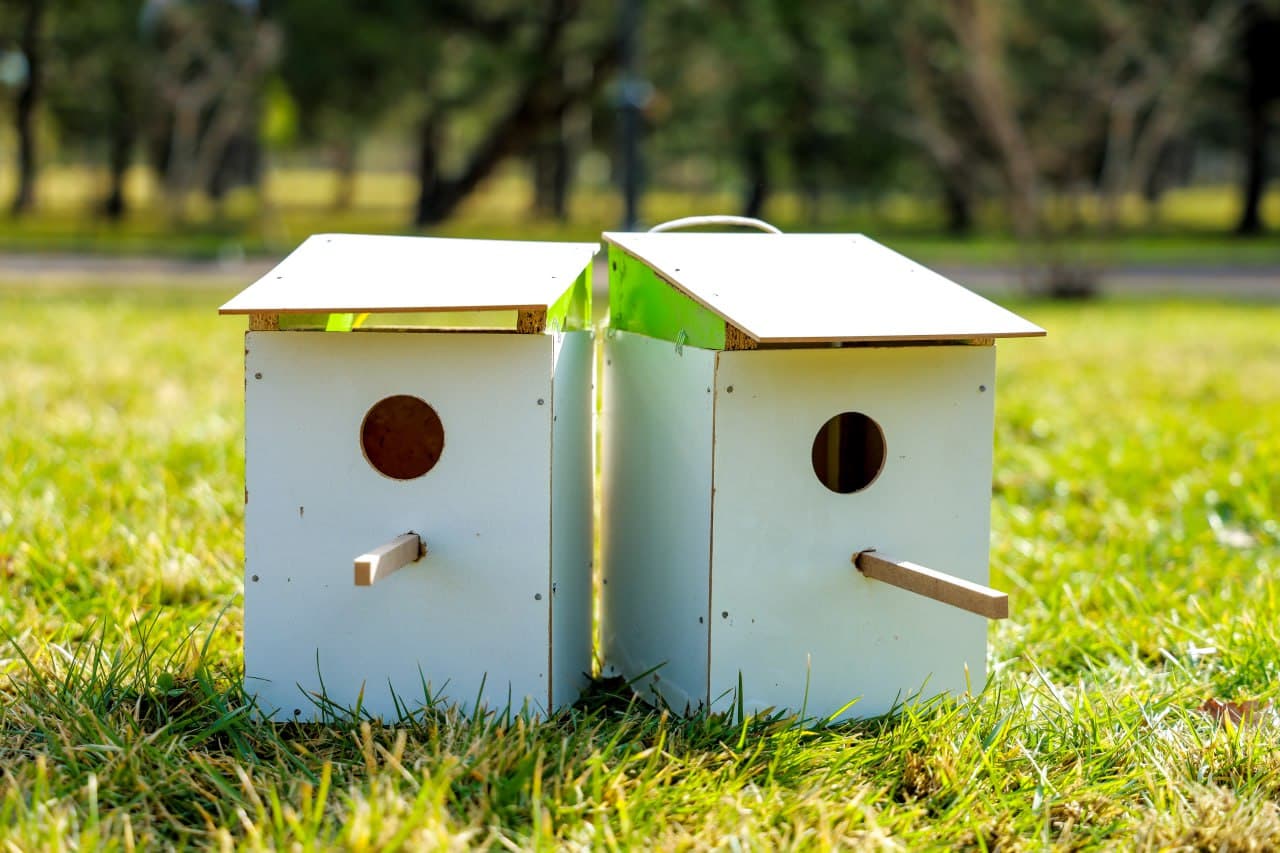 Для птиц установлены скворечники и роздан корм