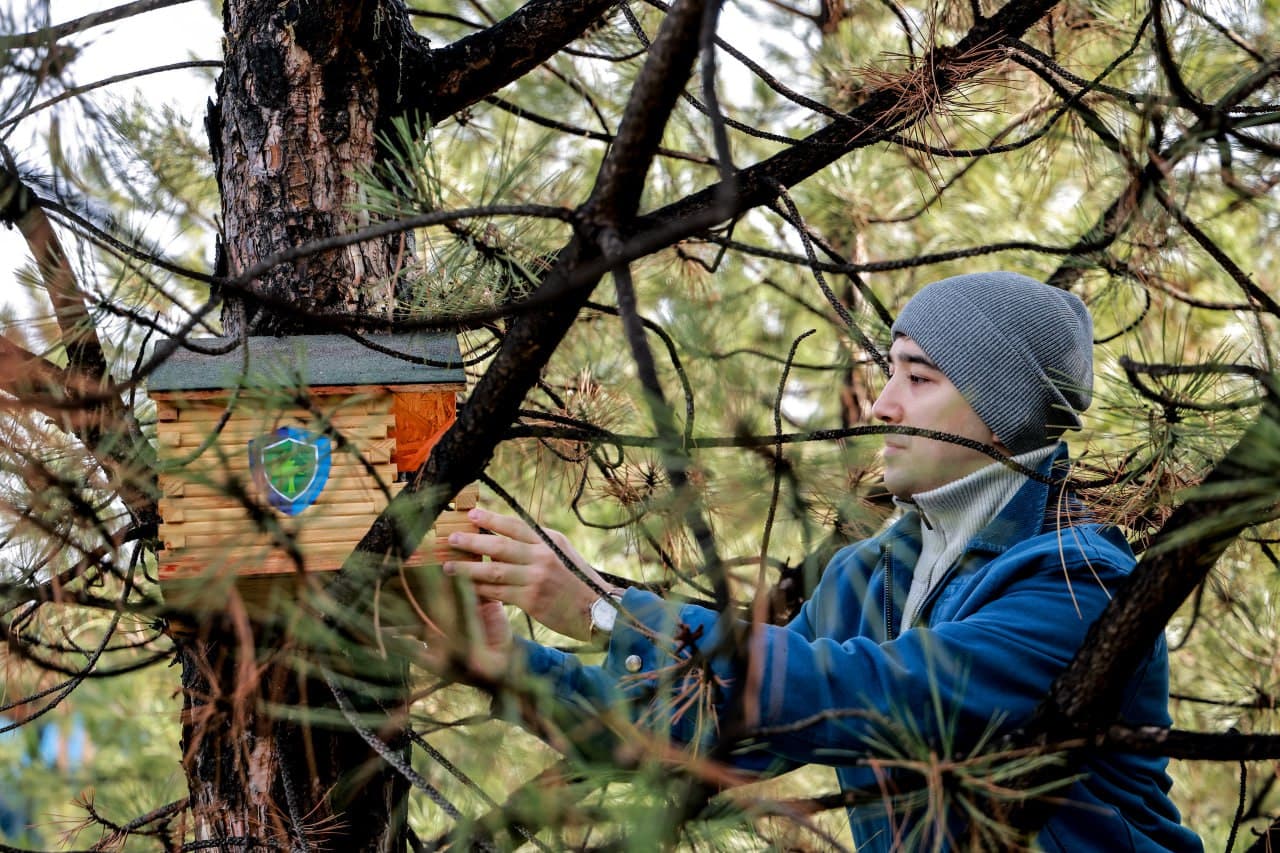 Для птиц установлены скворечники и роздан корм