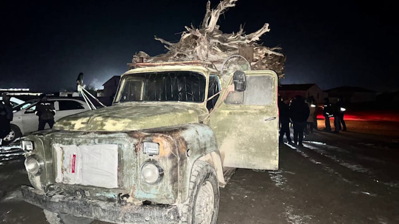 Приняты меры в отношении правонарушителя, выкорчевавшего саксаул с целью продажи