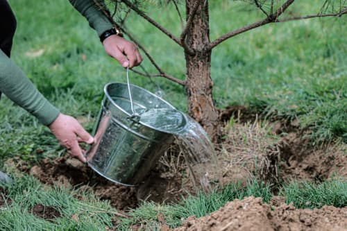 Special attention will be given to the creation of green areas around apartment buildings