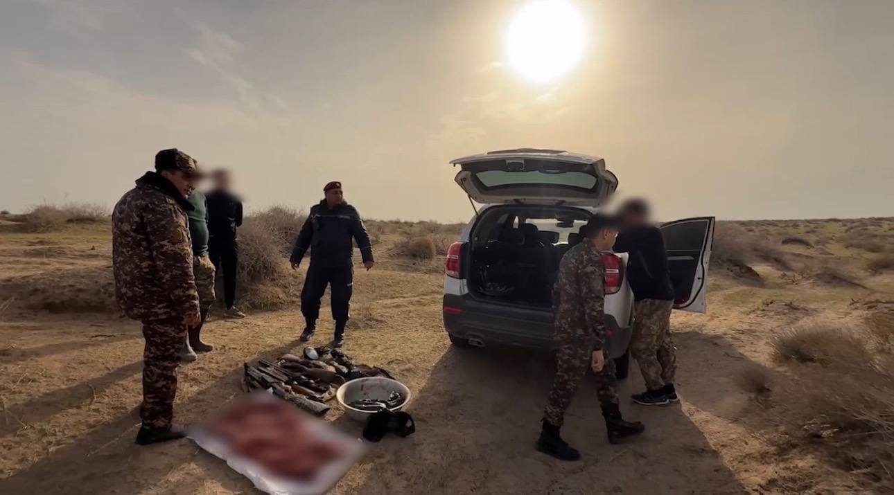 В Термезском районе выявлен факт незаконной охоты на 13 зайцев